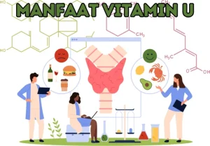 Read more about the article Berita Terbaru: Manfaat Vitamin U Untuk Kesehatan Tubuh Kita